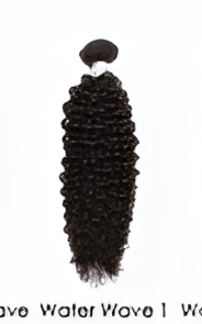 Water Wave 2 Deep Curl Human Hair Bundle